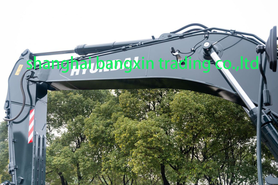 Hyundai HX220L Использованная экскаваторная машина для инженерного строительства Мы можем проверить